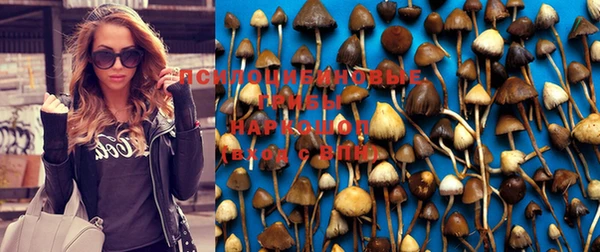 кокс Алексин