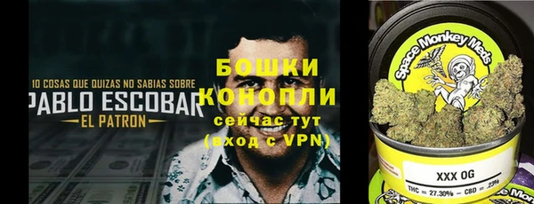 дурь Алзамай