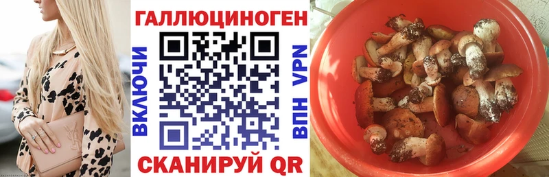Галлюциногенные грибы мицелий  omg как войти  Кочубеевское 