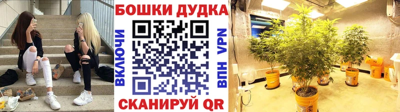 Марихуана сатива  ссылка на мегу ТОР  Кочубеевское 